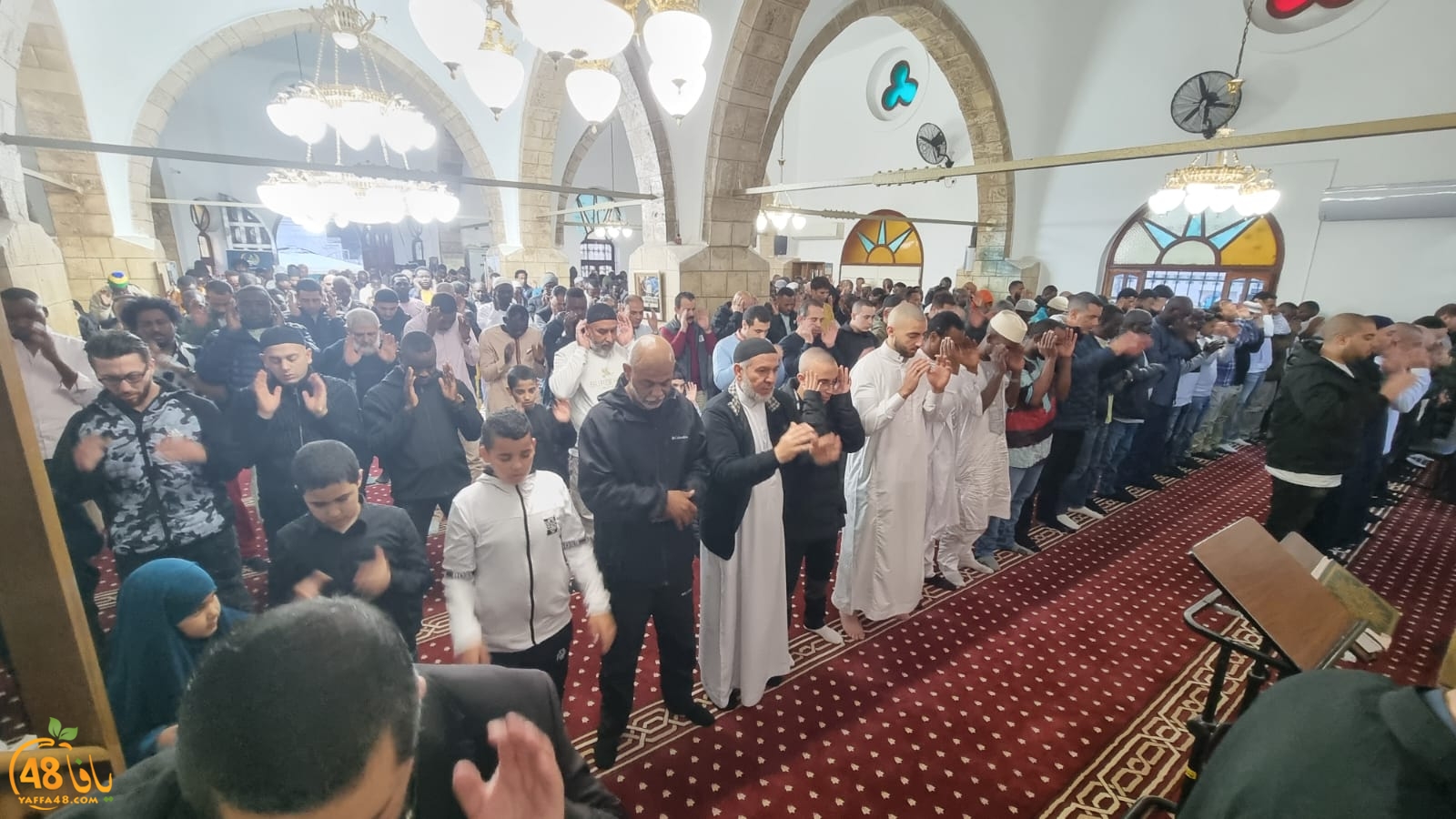 WhatsApp Image 2024-04-10 at 6.58.45 AM.jpeg